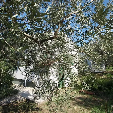 Holiday Silvana Ferienhaus